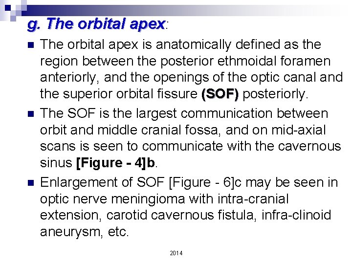 g. The orbital apex: n n n The orbital apex is anatomically defined as