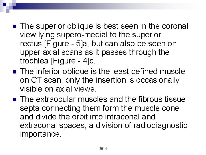 n n n The superior oblique is best seen in the coronal view lying