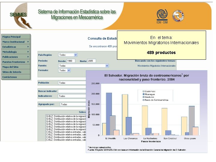 En el tema: Movimientos Migratorios Internacionales 489 productos 