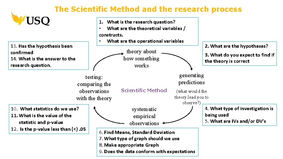 The Scientific Method and the research process 1. What is the research question? •