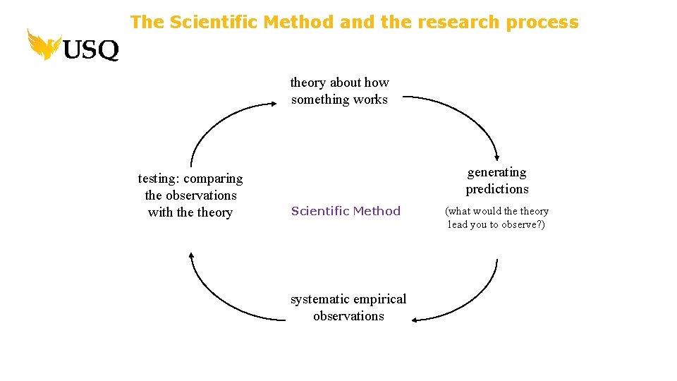 The Scientific Method and the research process theory about how something works testing: comparing