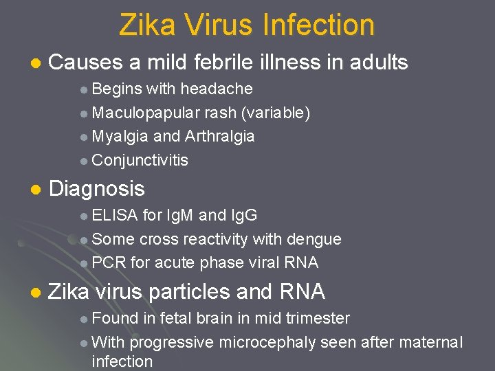 Zika Virus Infection l Causes a mild febrile illness in adults l Begins with