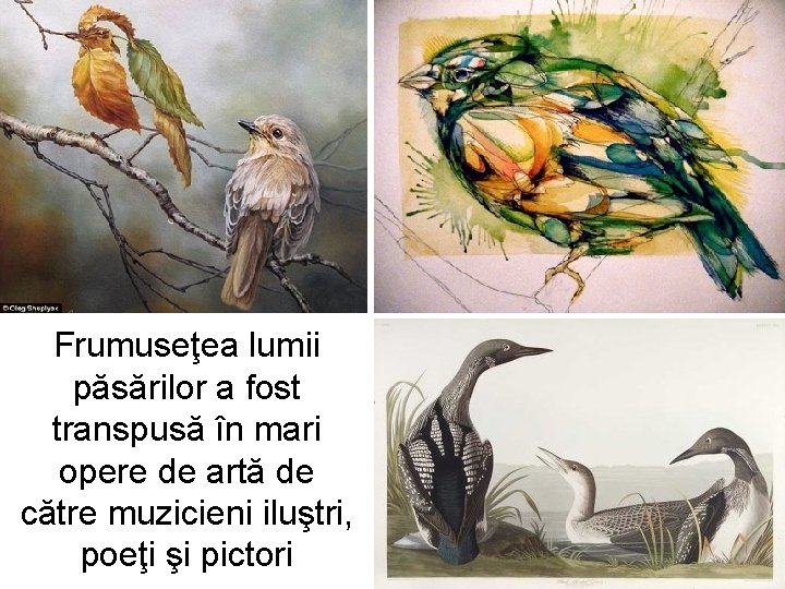 Frumuseţea lumii păsărilor a fost transpusă în mari opere de artă de către muzicieni