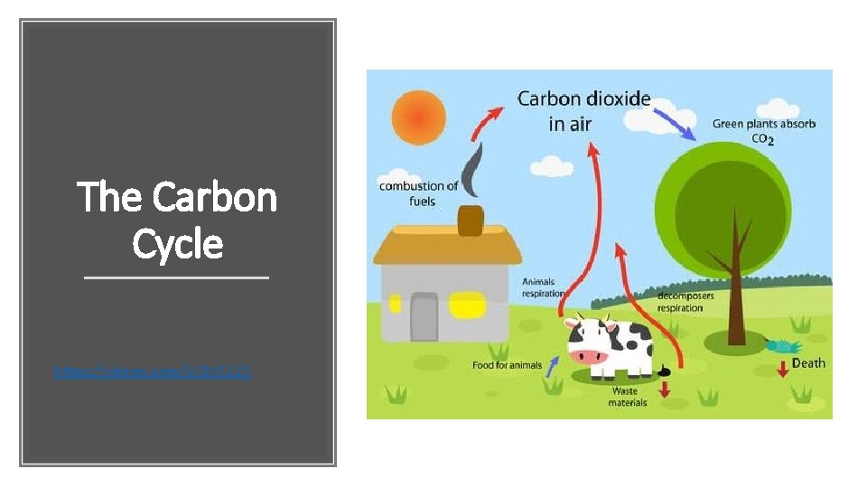 The Carbon Cycle https: //vimeo. com/93165325 