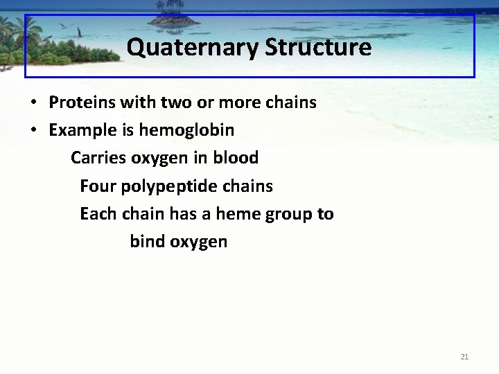Quaternary Structure • Proteins with two or more chains • Example is hemoglobin Carries