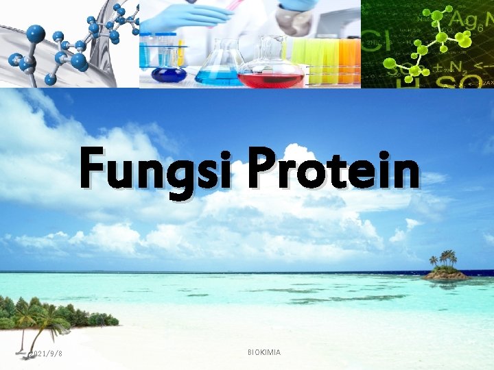 Fungsi Protein 2021/9/8 BIOKIMIA 