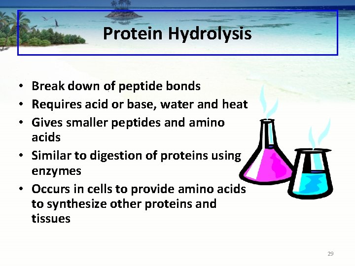 Protein Hydrolysis • Break down of peptide bonds • Requires acid or base, water