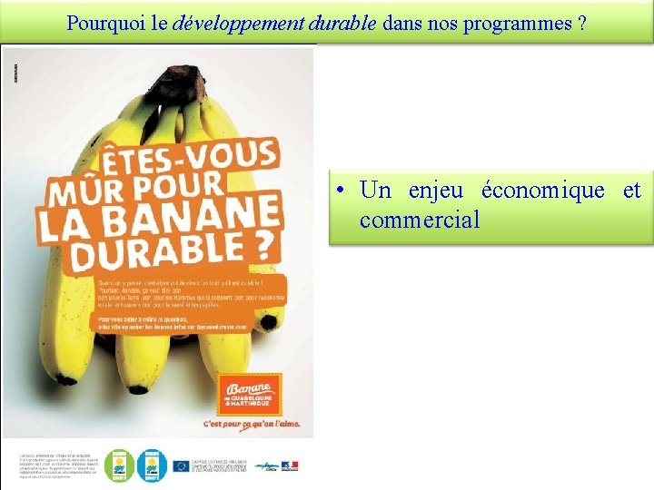 Pourquoi le développement durable dans nos programmes ? • Un enjeu économique et commercial