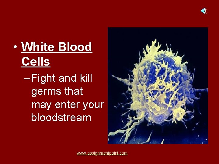  • White Blood Cells – Fight and kill germs that may enter your