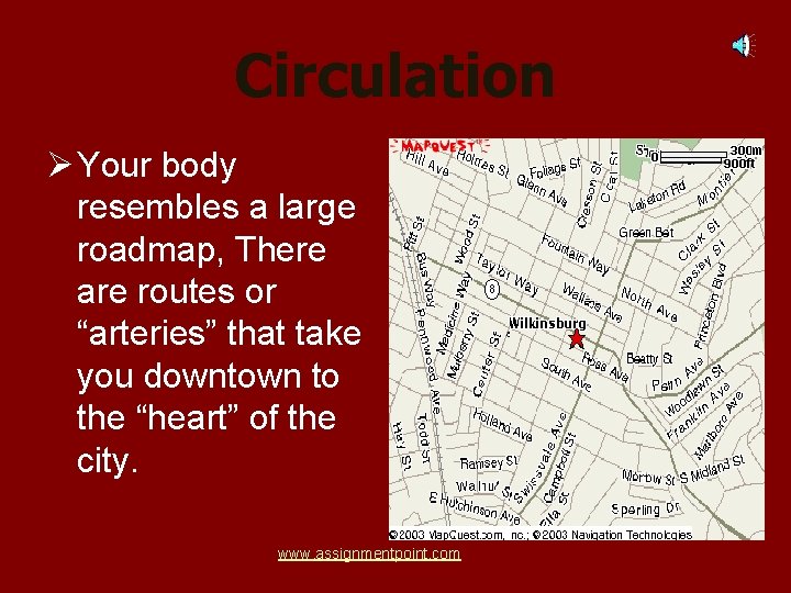 Circulation Ø Your body resembles a large roadmap, There are routes or “arteries” that