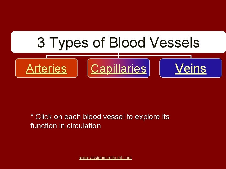 3 Types of Blood Vessels Arteries Capillaries * Click on each blood vessel to