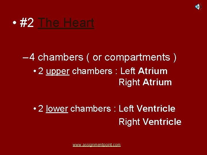  • #2 The Heart – 4 chambers ( or compartments ) • 2