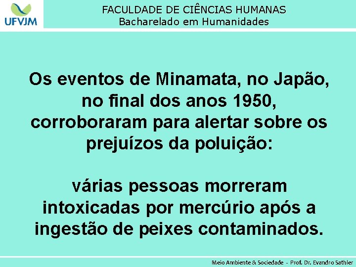 FACULDADE DE CIÊNCIAS HUMANAS Bacharelado em Humanidades Os eventos de Minamata, no Japão, no