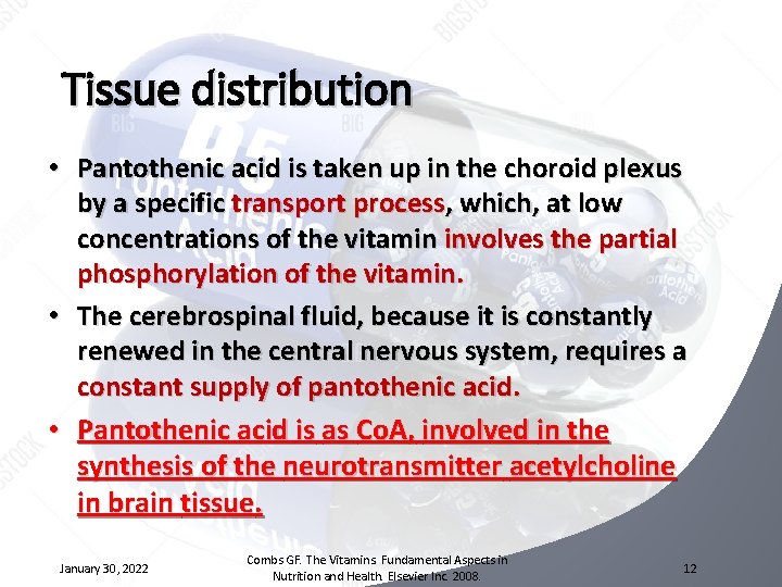 Tissue distribution • Pantothenic acid is taken up in the choroid plexus by a