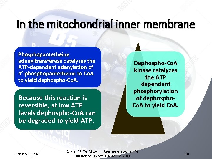 In the mitochondrial inner membrane Phosphopantetheine adenyltransferase catalyzes the ATP-dependent adenylation of 4‘-phosphopantetheine to