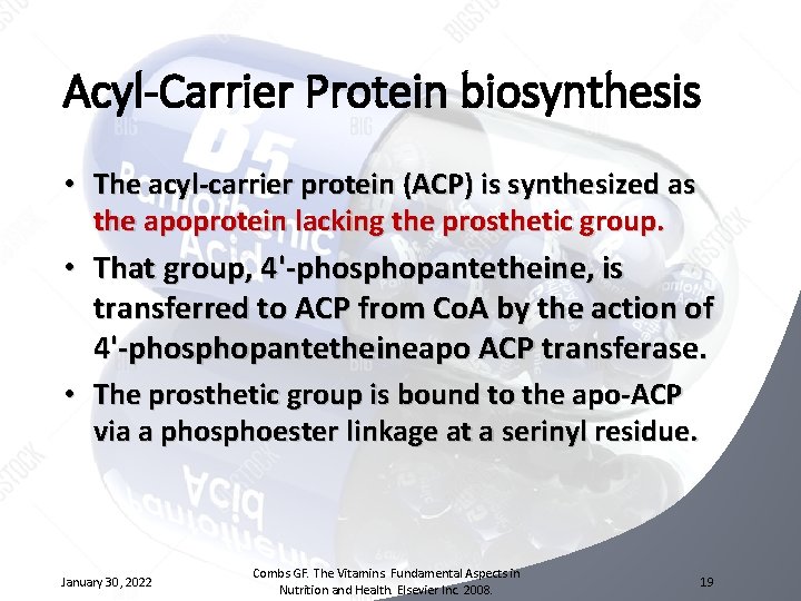 Acyl-Carrier Protein biosynthesis • The acyl-carrier protein (ACP) is synthesized as the apoprotein lacking