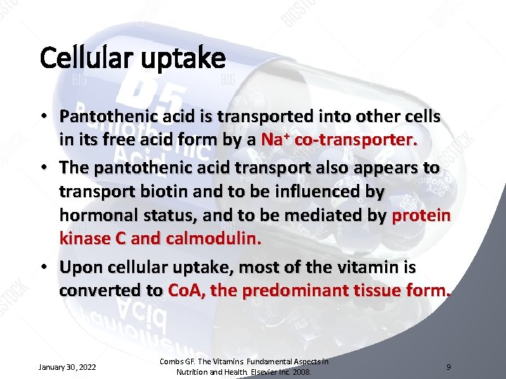 Cellular uptake • Pantothenic acid is transported into other cells in its free acid
