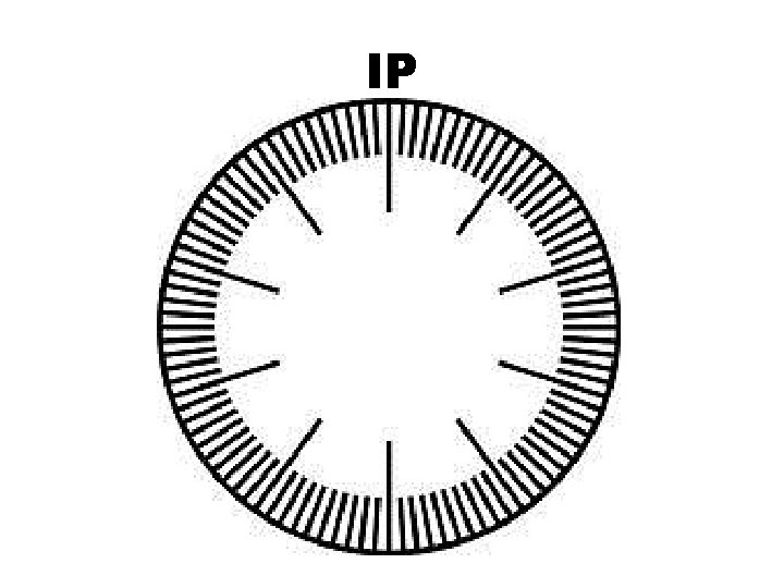 IP 