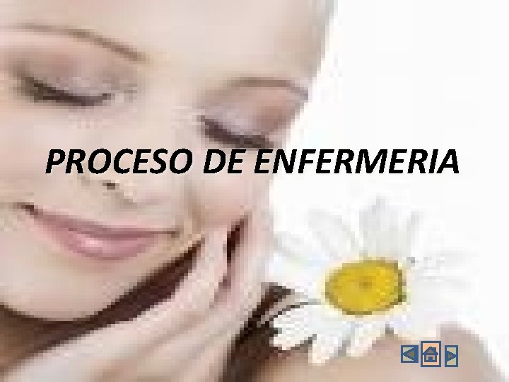 PROCESO DE ENFERMERIA PROCESO DE ENFERMERIA