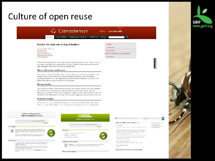 Culture of open reuse 