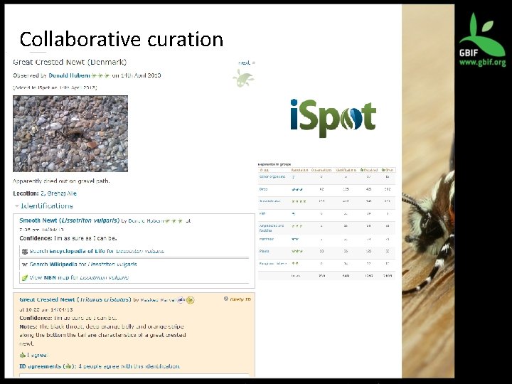 Collaborative curation 