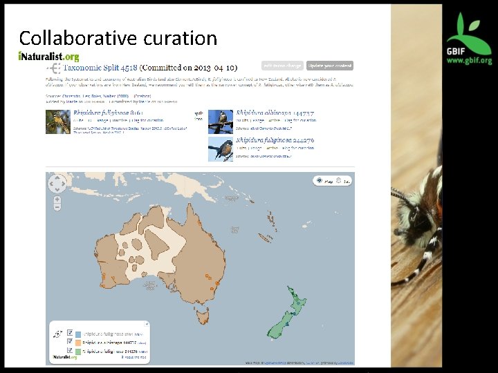 Collaborative curation 