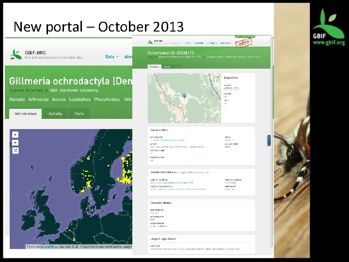 New portal – October 2013 