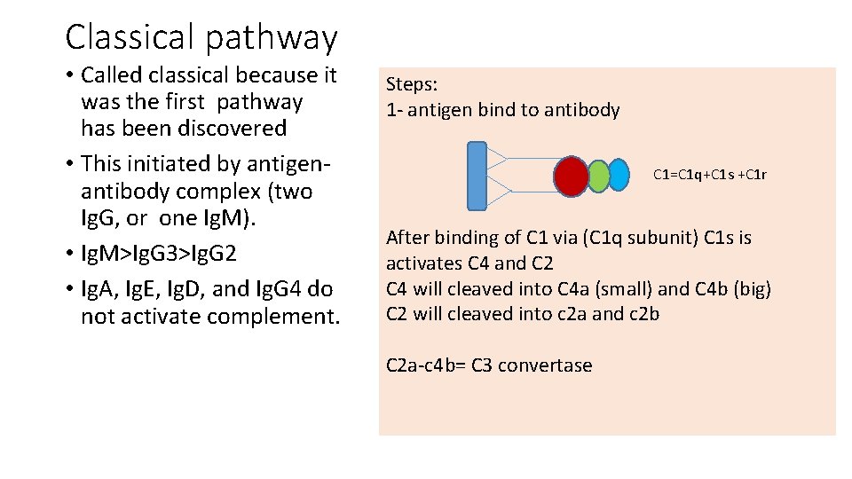 Classical pathway • Called classical because it was the first pathway has been discovered Classical pathway • Called classical because it was the first pathway has been discovered
