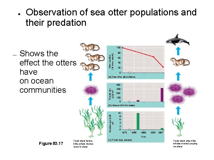 ● Observation of sea otter populations and their predation 80 60 40 20 0