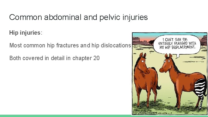 Common abdominal and pelvic injuries Hip injuries: Most common hip fractures and hip dislocations.