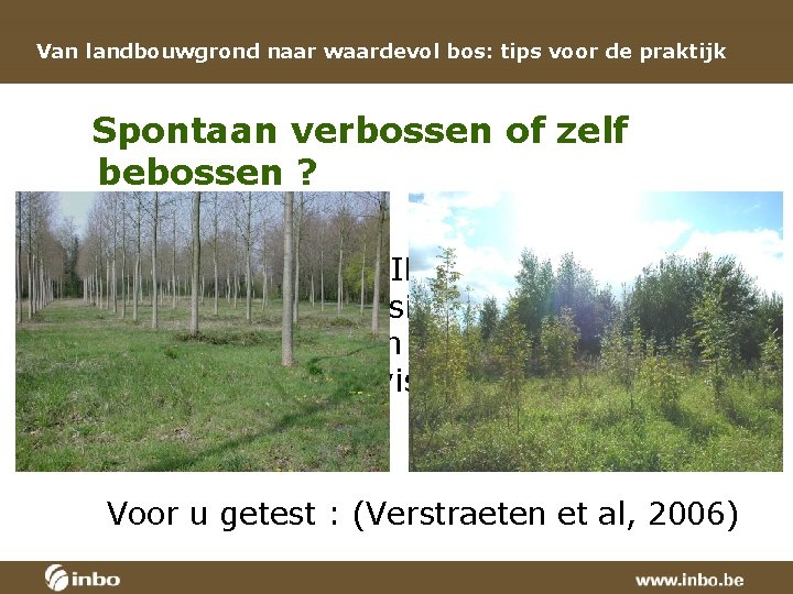 Van landbouwgrond naar waardevol bos: tips voor de praktijk Spontaan verbossen of zelf bebossen