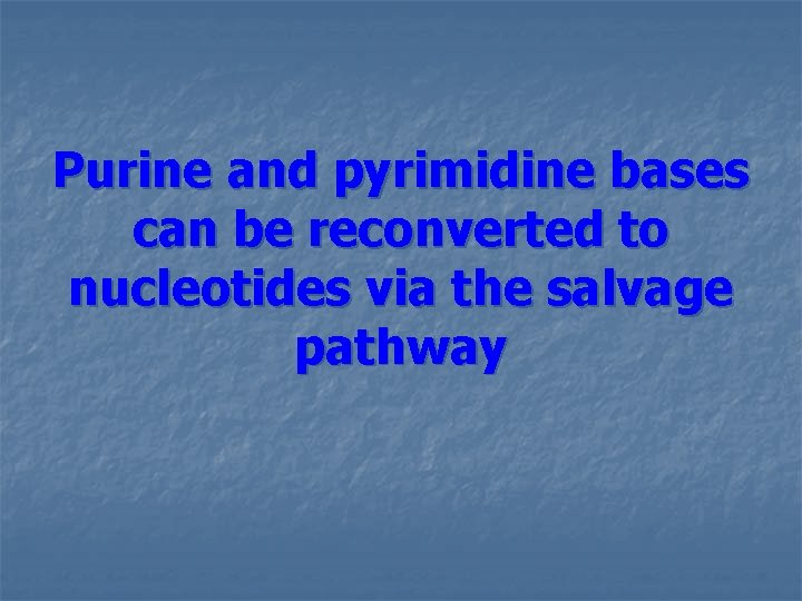 Purine and pyrimidine bases can be reconverted to nucleotides via the salvage pathway  Purine and pyrimidine bases can be reconverted to nucleotides via the salvage pathway