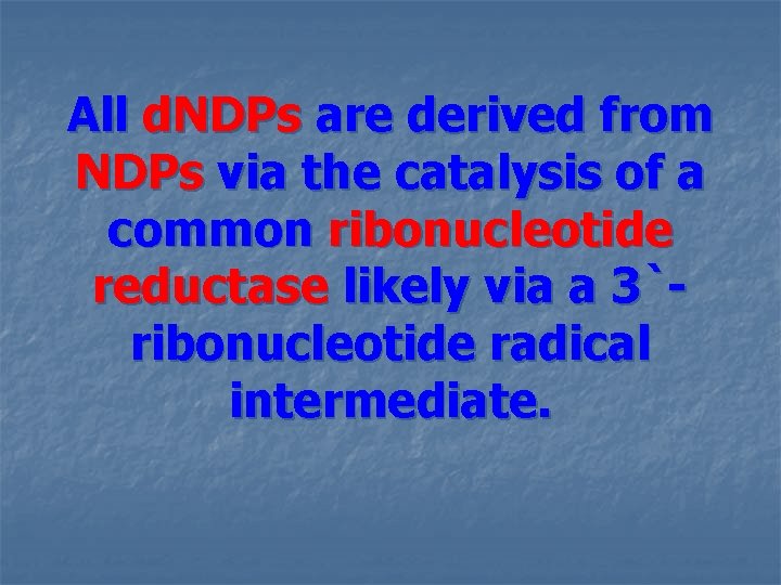 All d. NDPs are derived from NDPs via the catalysis of a common ribonucleotide All d. NDPs are derived from NDPs via the catalysis of a common ribonucleotide