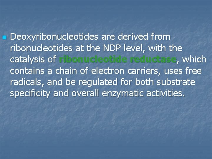 n Deoxyribonucleotides are derived from ribonucleotides at the NDP level, with the catalysis of n Deoxyribonucleotides are derived from ribonucleotides at the NDP level, with the catalysis of