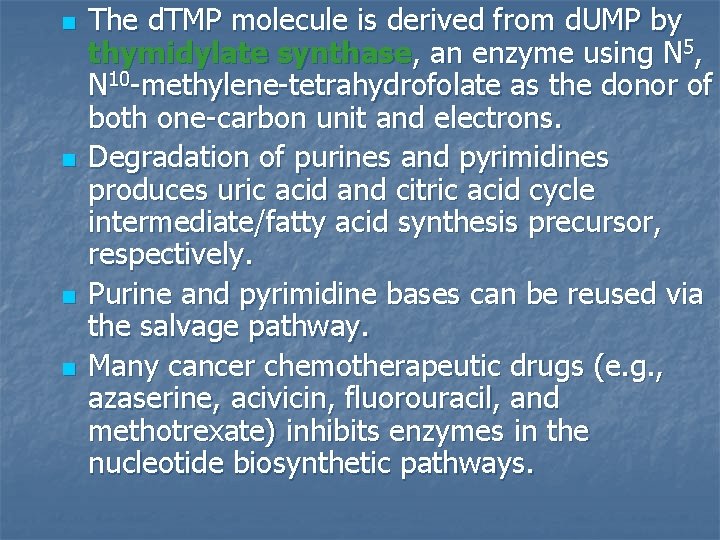 n n The d. TMP molecule is derived from d. UMP by thymidylate synthase, n n The d. TMP molecule is derived from d. UMP by thymidylate synthase,