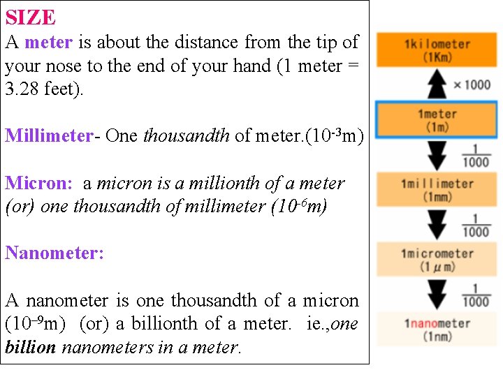 SIZE A meter is about the distance from the tip of your nose to