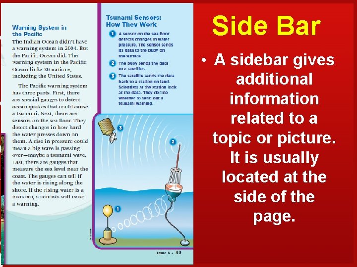 Side Bar • A sidebar gives additional information related to a topic or picture.