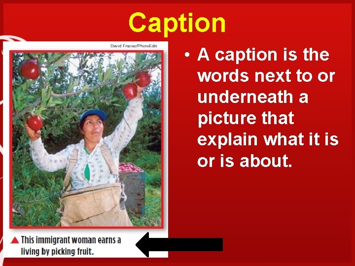 Caption • A caption is the words next to or underneath a picture that