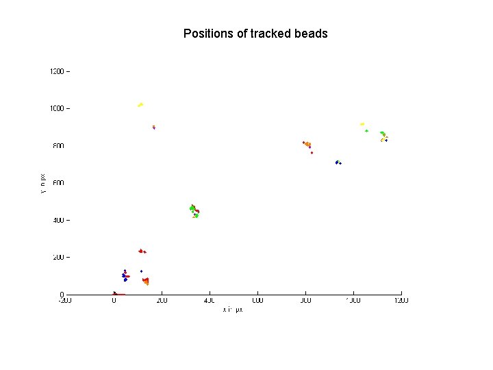 Positions of tracked beads 