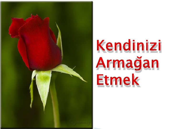 Kendinizi Armağan Etmek 