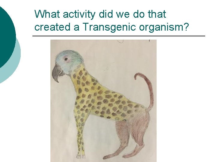 What activity did we do that created a Transgenic organism? 