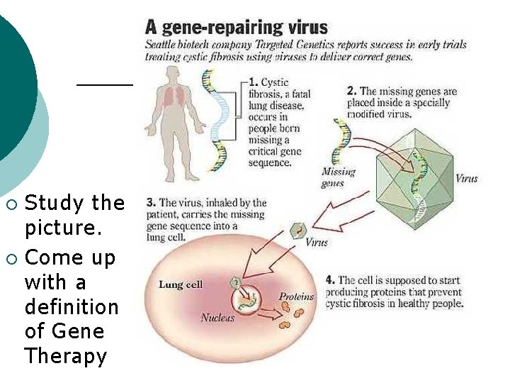 Study the picture. ¡ Come up with a definition of Gene Therapy ¡ 