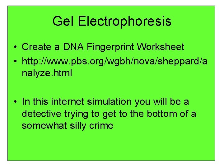 Gel Electrophoresis • Create a DNA Fingerprint Worksheet • http: //www. pbs. org/wgbh/nova/sheppard/a nalyze.