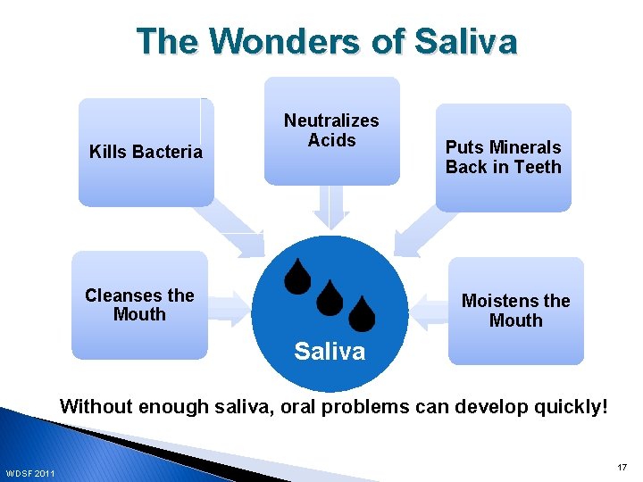 The Wonders of Saliva Kills Bacteria Neutralizes Acids Cleanses the Mouth Puts Minerals Back