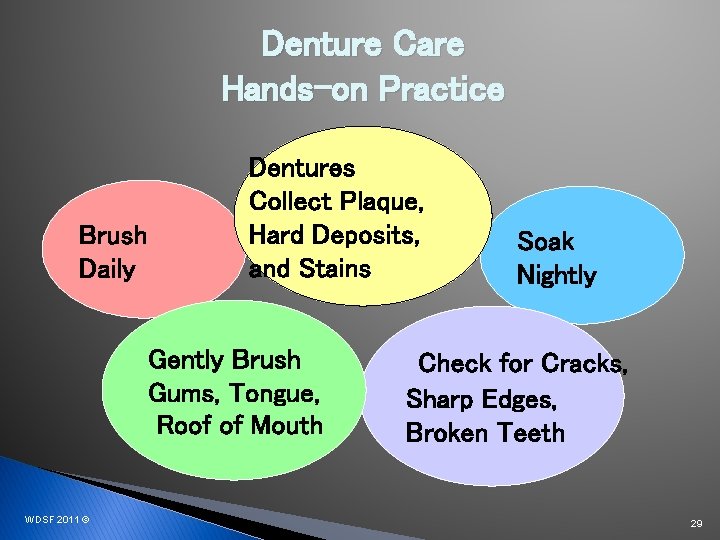 Denture Care Hands-on Practice Brush Daily Dentures Collect Plaque, Hard Deposits, and Stains Gently