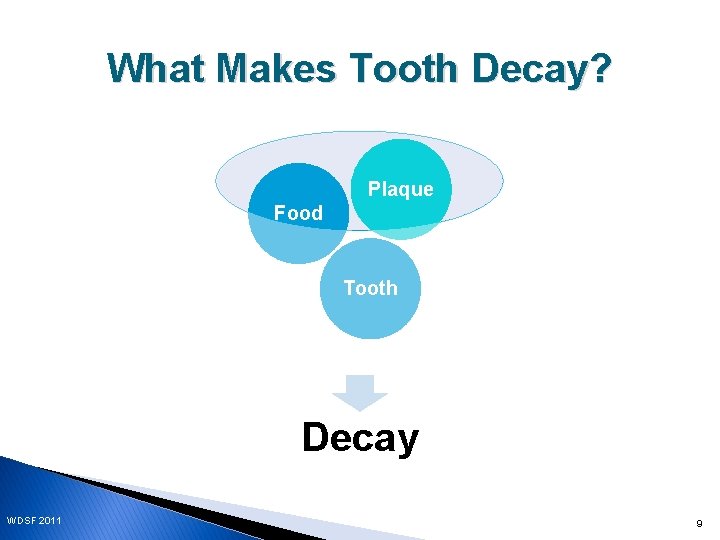 What Makes Tooth Decay? Plaque Food Tooth Decay WDSF 2011 9 