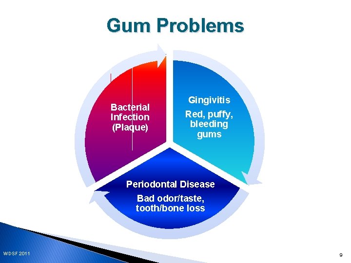 Gum Problems Bacterial Infection (Plaque) Gingivitis Red, puffy, bleeding gums Periodontal Disease Bad odor/taste,