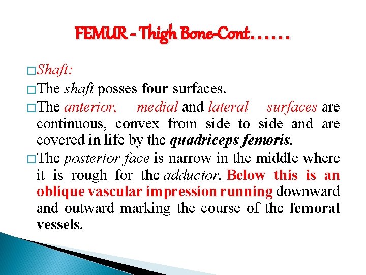 FEMUR - Thigh Bone-Cont…… �Shaft: �The shaft posses four surfaces. �The anterior, medial and