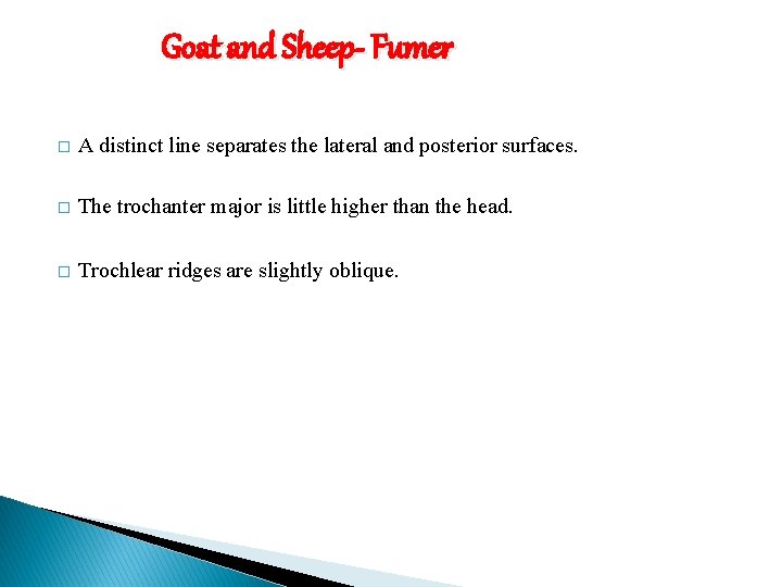 Goat and Sheep- Fumer � A distinct line separates the lateral and posterior surfaces.
