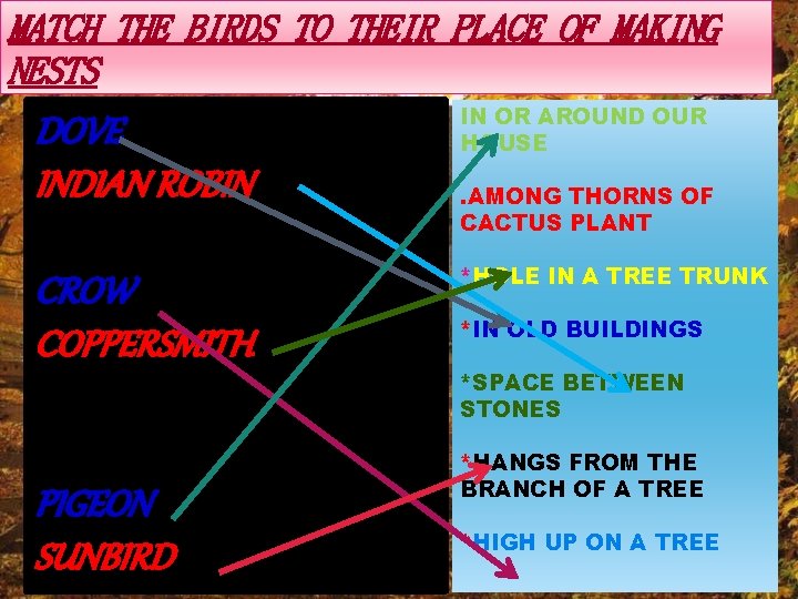 MATCH THE BIRDS TO THEIR PLACE OF MAKING NESTS DOVE INDIAN ROBIN IN OR